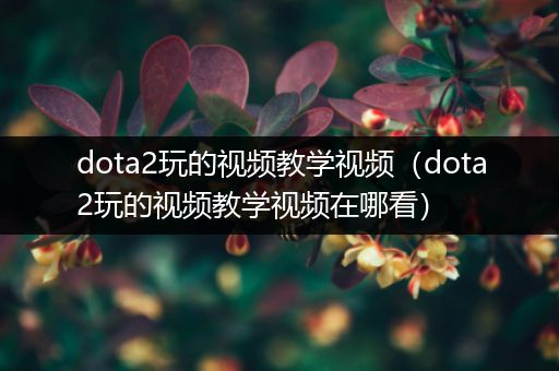 dota2玩的视频教学视频（dota2玩的视频教学视频在哪看）