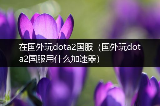 在国外玩dota2国服（国外玩dota2国服用什么加速器）