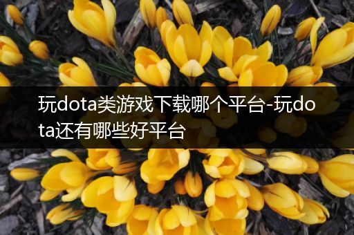 玩dota类游戏下载哪个平台-玩dota还有哪些好平台
