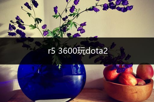 r5 3600玩dota2