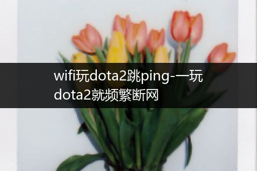 wifi玩dota2跳ping-一玩dota2就频繁断网