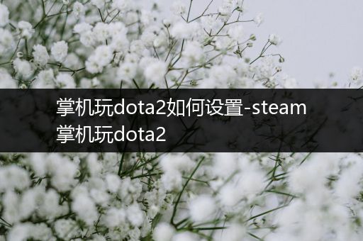 掌机玩dota2如何设置-steam掌机玩dota2