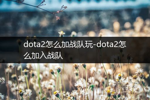 dota2怎么加战队玩-dota2怎么加入战队