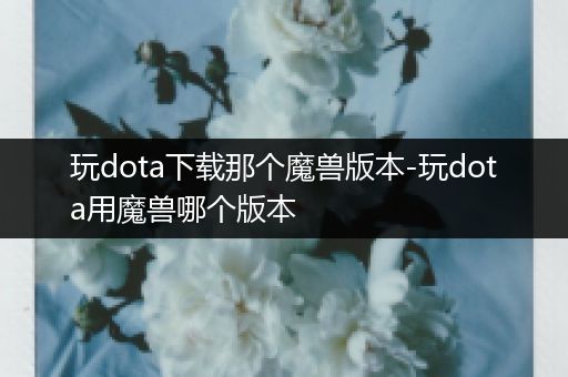 玩dota下载那个魔兽版本-玩dota用魔兽哪个版本