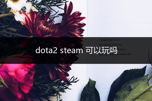 dota2 steam 可以玩吗