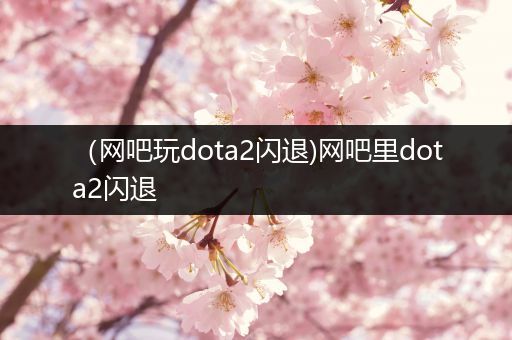 （网吧玩dota2闪退)网吧里dota2闪退