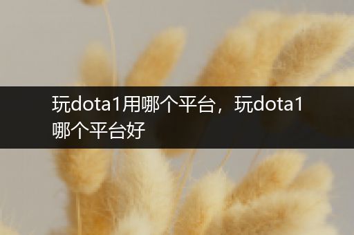 玩dota1用哪个平台，玩dota1哪个平台好