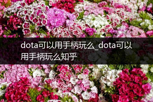 dota可以用手柄玩么_dota可以用手柄玩么知乎