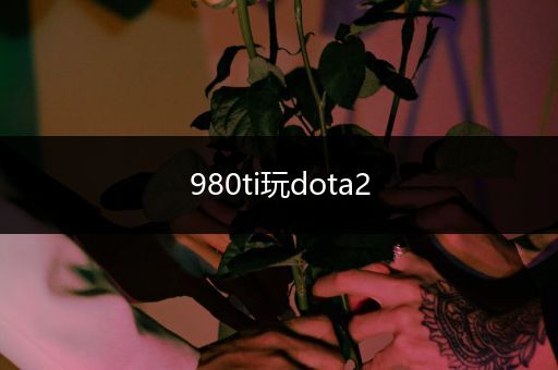 980ti玩dota2