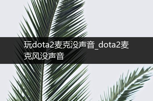 玩dota2麦克没声音_dota2麦克风没声音