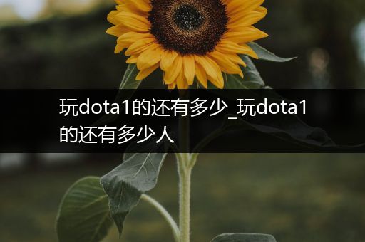 玩dota1的还有多少_玩dota1的还有多少人