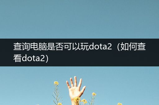 查询电脑是否可以玩dota2（如何查看dota2）