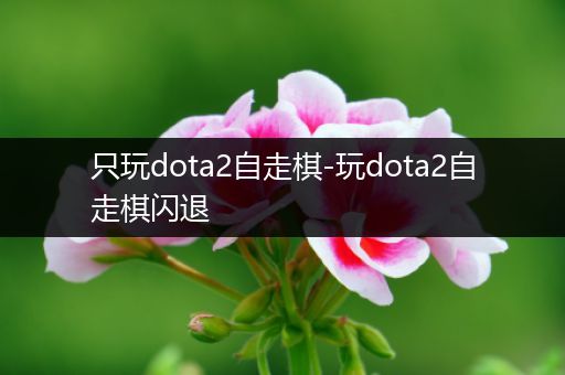 只玩dota2自走棋-玩dota2自走棋闪退