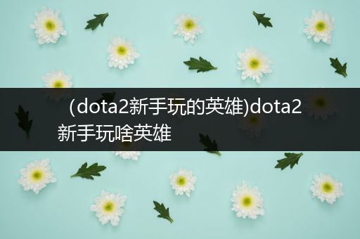 （dota2新手玩的英雄)dota2新手玩啥英雄