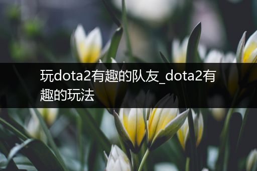 玩dota2有趣的队友_dota2有趣的玩法