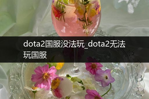 dota2国服没法玩_dota2无法玩国服