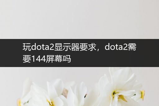 玩dota2显示器要求，dota2需要144屏幕吗