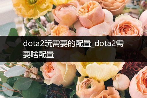 dota2玩需要的配置_dota2需要啥配置