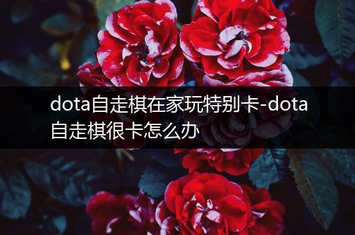 dota自走棋在家玩特别卡-dota自走棋很卡怎么办