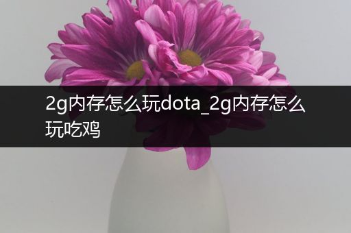 2g内存怎么玩dota_2g内存怎么玩吃鸡