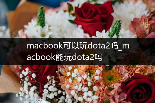 macbook可以玩dota2吗_macbook能玩dota2吗