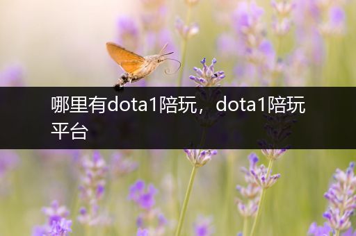 哪里有dota1陪玩，dota1陪玩平台