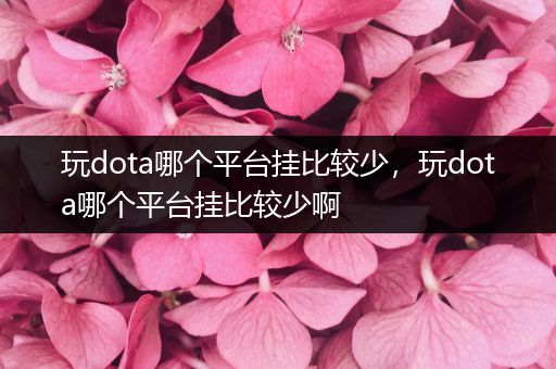 玩dota哪个平台挂比较少，玩dota哪个平台挂比较少啊