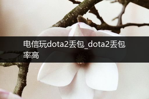 电信玩dota2丢包_dota2丢包率高