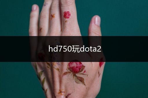 hd750玩dota2