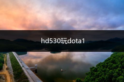 hd530玩dota1