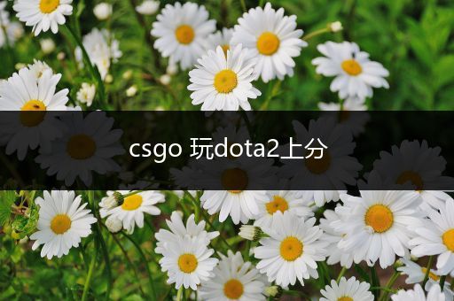 csgo 玩dota2上分