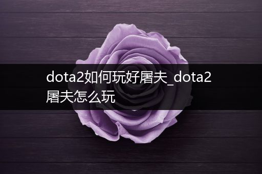 dota2如何玩好屠夫_dota2 屠夫怎么玩