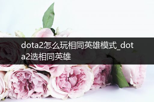 dota2怎么玩相同英雄模式_dota2选相同英雄