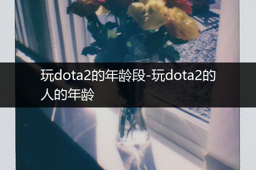 玩dota2的年龄段-玩dota2的人的年龄