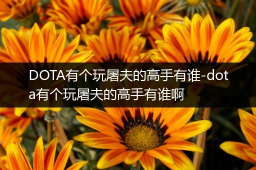 DOTA有个玩屠夫的高手有谁-dota有个玩屠夫的高手有谁啊