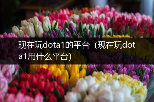 现在玩dota1的平台（现在玩dota1用什么平台）