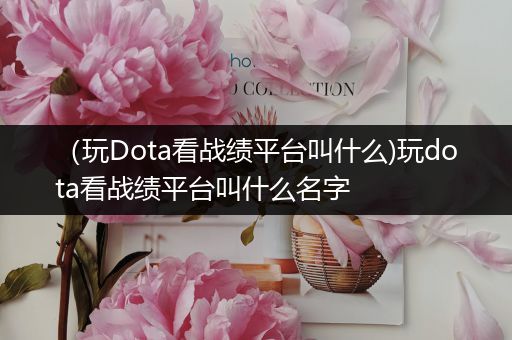 （玩Dota看战绩平台叫什么)玩dota看战绩平台叫什么名字