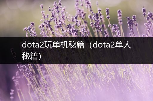 dota2玩单机秘籍（dota2单人秘籍）