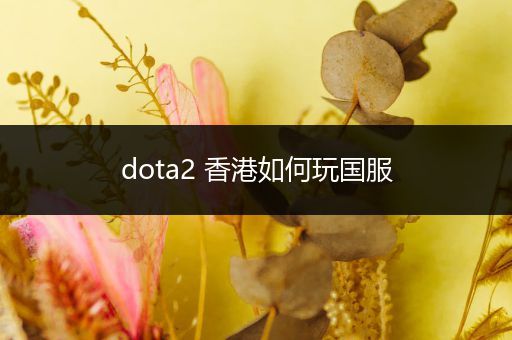 dota2 香港如何玩国服