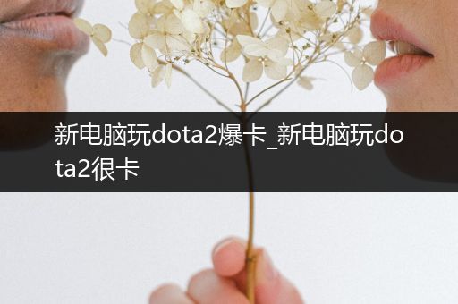 新电脑玩dota2爆卡_新电脑玩dota2很卡