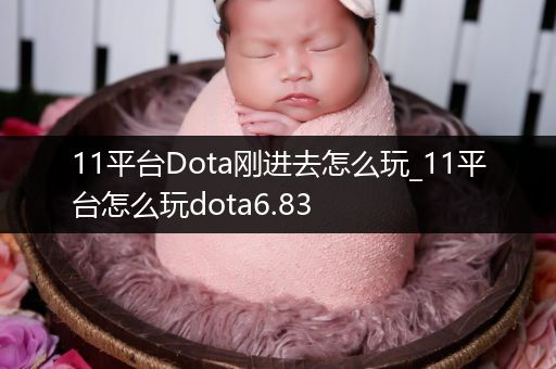 11平台Dota刚进去怎么玩_11平台怎么玩dota6.83