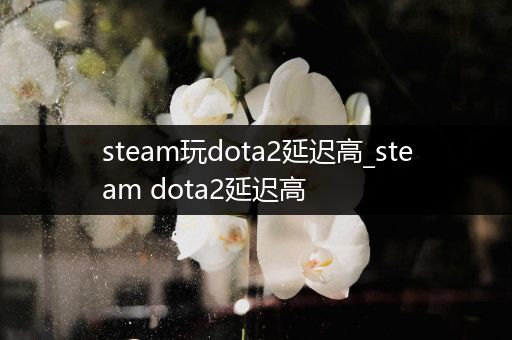 steam玩dota2延迟高_steam dota2延迟高