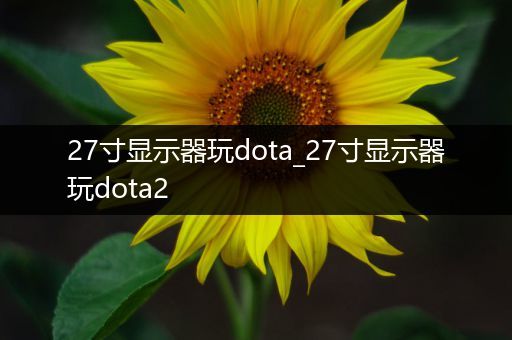 27寸显示器玩dota_27寸显示器玩dota2