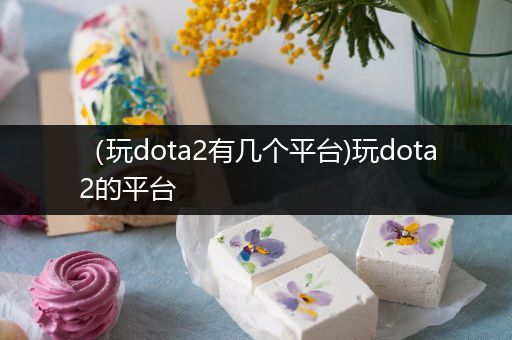 （玩dota2有几个平台)玩dota2的平台