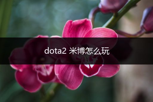 dota2 米博怎么玩