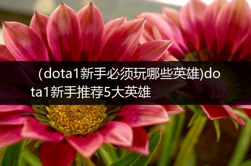 （dota1新手必须玩哪些英雄)dota1新手推荐5大英雄