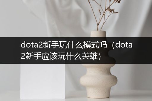 dota2新手玩什么模式吗（dota2新手应该玩什么英雄）