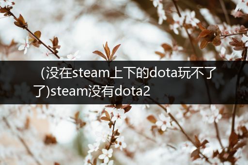 （没在steam上下的dota玩不了了)steam没有dota2