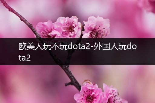 欧美人玩不玩dota2-外国人玩dota2
