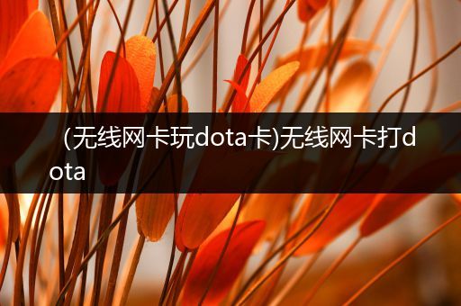（无线网卡玩dota卡)无线网卡打dota